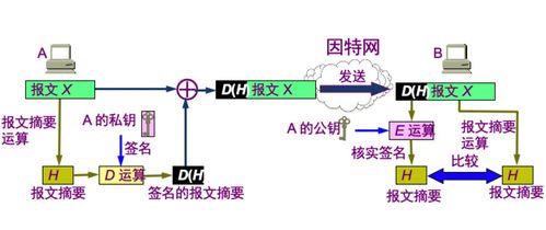 計(jì)算機(jī)網(wǎng)絡(luò)技術(shù)服務(wù) 第10章 網(wǎng)絡(luò)安全解析